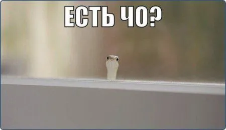 Фотоприколы - это круто