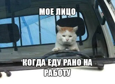 Фотоприколы - это круто