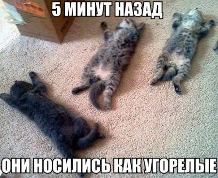 Фотоприколы - это круто