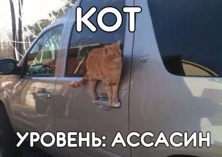 Фотоприколы - это круто