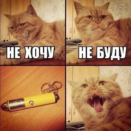 Фотоприколы - это круто