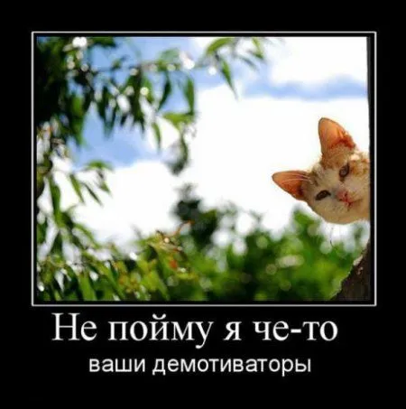 Демотиваторы Демотиваторы