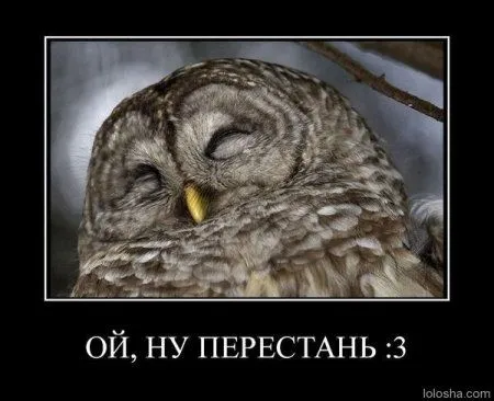 Демотиваторы Демотиваторы