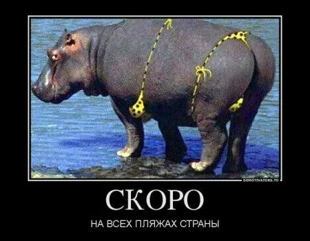 Демотиваторы Демотиваторы