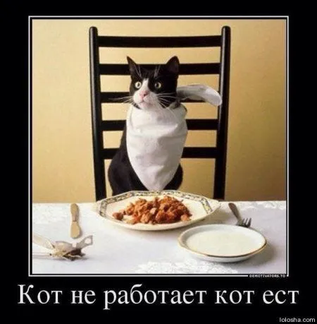 Демотиваторы Демотиваторы
