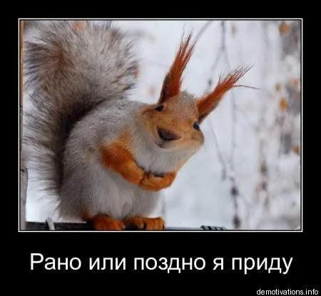 Демотиваторы Демотиваторы
