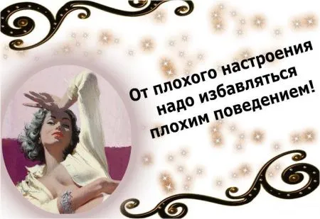 Читаем прикольные фразы, радуемся жизни