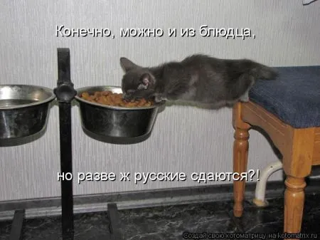 Хорошие котоматрицы приближают пятницу..