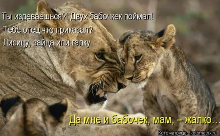 Хорошие котоматрицы приближают пятницу..