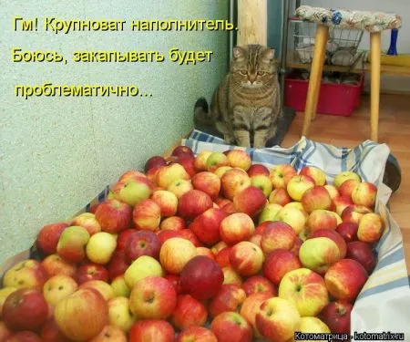 Хорошие котоматрицы приближают пятницу..