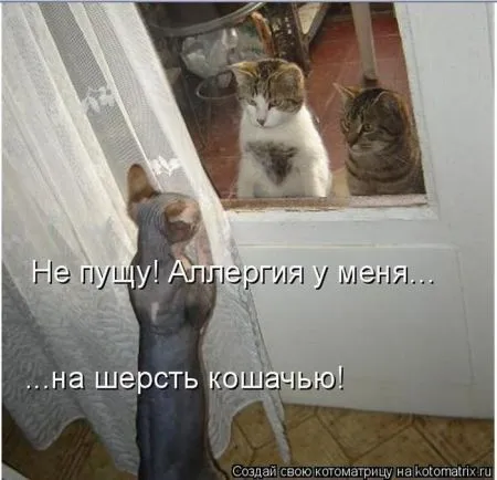 Хорошие котоматрицы приближают пятницу..
