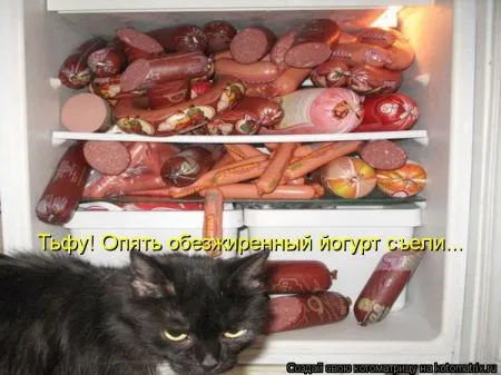 Хорошие котоматрицы приближают пятницу..