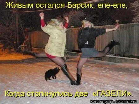 Хорошие котоматрицы приближают пятницу..
