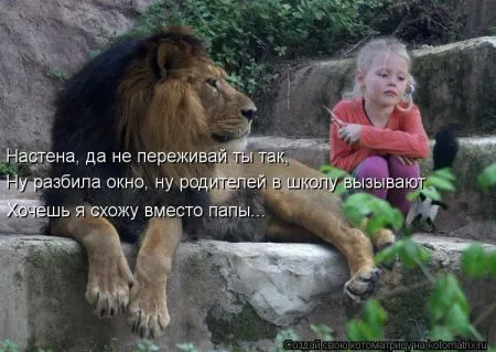 Хорошие котоматрицы приближают пятницу..