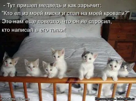 Хорошие котоматрицы приближают пятницу..