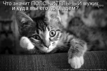 Хорошие котоматрицы приближают пятницу..