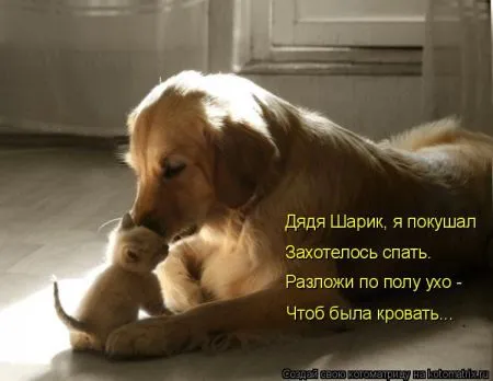 Хорошие котоматрицы приближают пятницу..