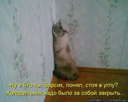 Хорошие котоматрицы приближают пятницу..
