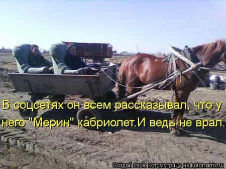Хорошие котоматрицы приближают пятницу..