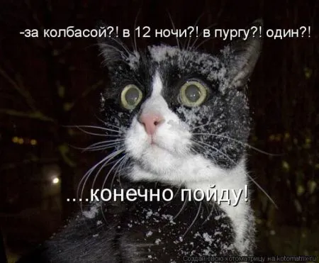 Хорошие котоматрицы приближают пятницу..