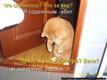 Хорошие котоматрицы приближают пятницу..