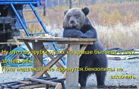 Хорошие котоматрицы приближают пятницу..