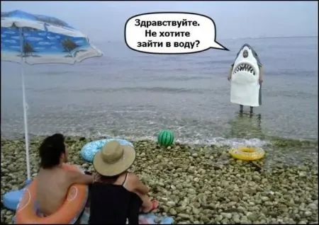Прикольные картинки