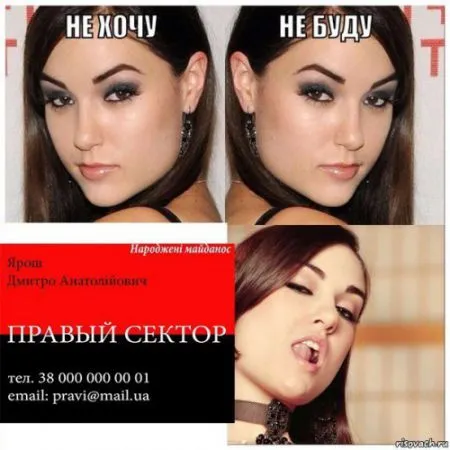Визитка Яроша «порвала» интернет. Лучшие фотожабы