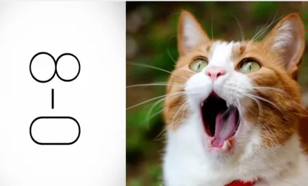 Котосмайлики