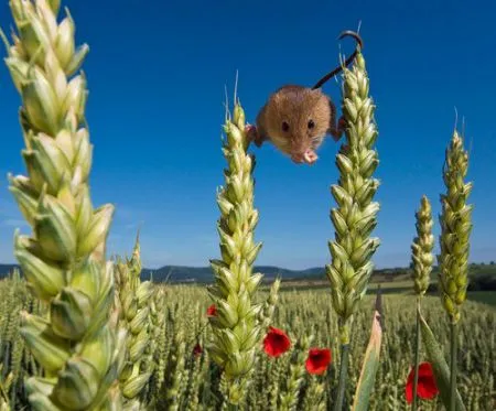 Креативная фотоподборка