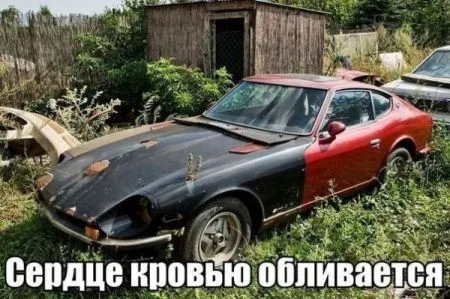Разомни глаза, посмотри фото приколы