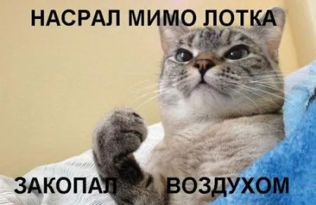 Разомни глаза, посмотри фото приколы