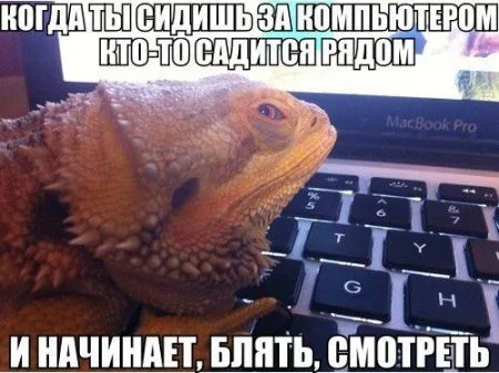 Разомни глаза, посмотри фото приколы