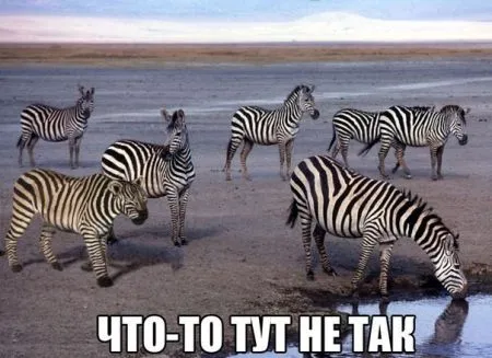Разомни глаза, посмотри фото приколы