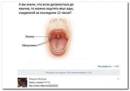 Смешные комментарии из соцсетей от 23.04.2014