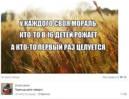 Смешные комментарии из соцсетей от 23.04.2014