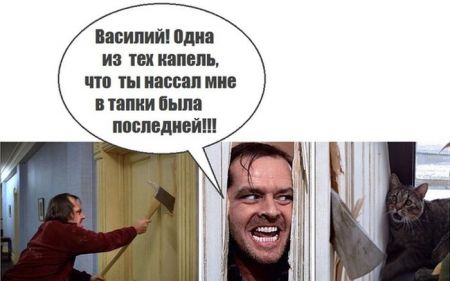 Прикольные картинки