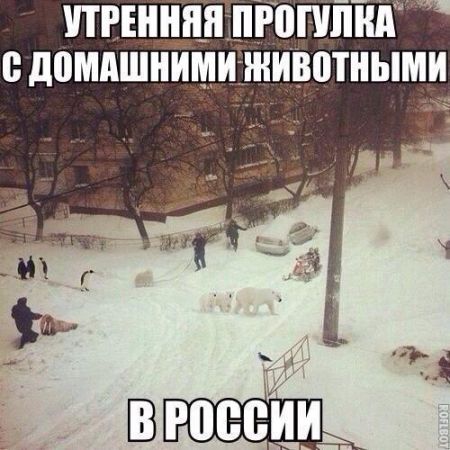 Фото приколы, проколы на фото