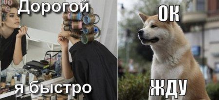 И снова приколы