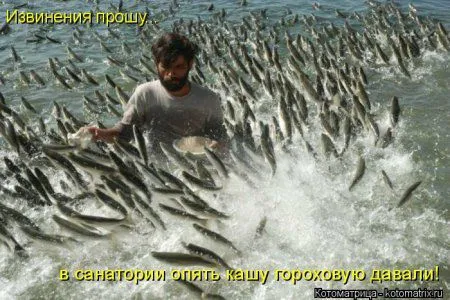 Майская котоматрица Майская котоматрица