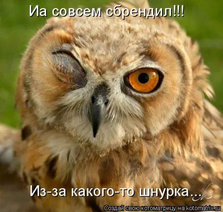 Майская котоматрица Майская котоматрица