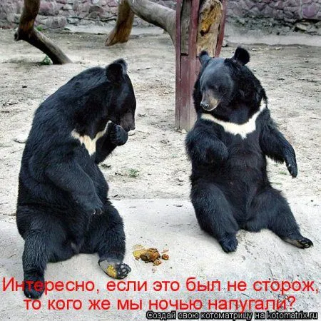 Майская котоматрица Майская котоматрица