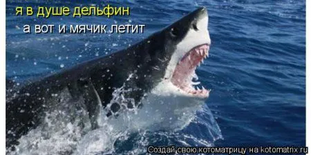 Майская котоматрица Майская котоматрица