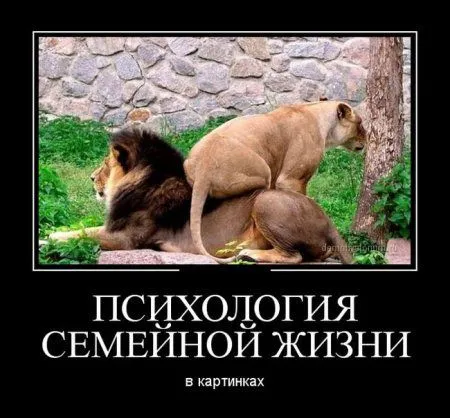 Картинки в черных рамках
