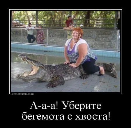 Картинки в черных рамках