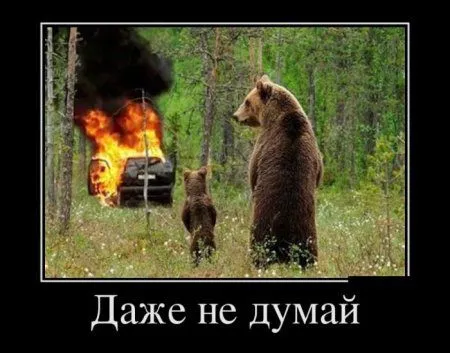 Картинки в черных рамках