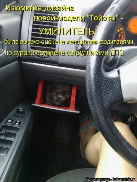 Котоматрицы недели