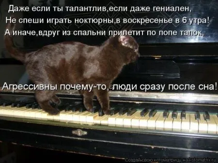 Котоматрицы недели