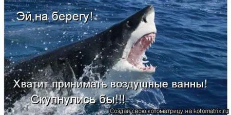 Котоматрицы недели