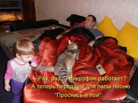 Котоматрицы недели